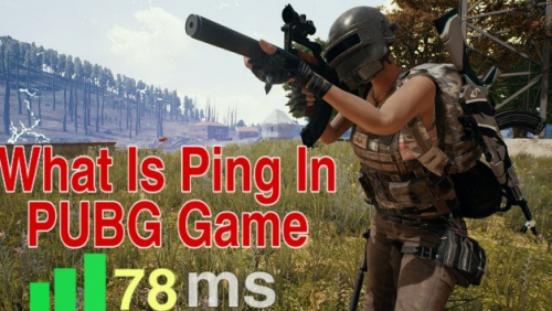 What Does Ping Mean