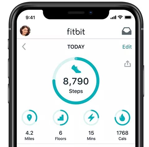 Fitbit app Not Working