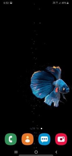 Betta Fish: Best 3D fish live wallpaper app for android