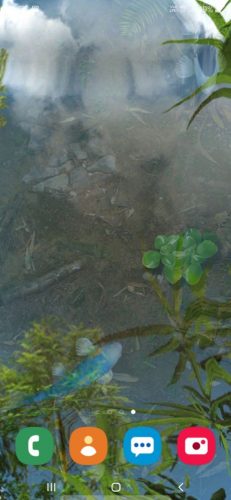  Water Garden: Realistic live wallpaper app for android