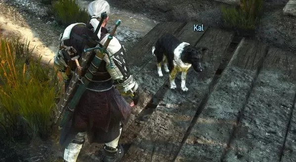 How to Find Henry Cavill Dog Kal in The Witcher 3