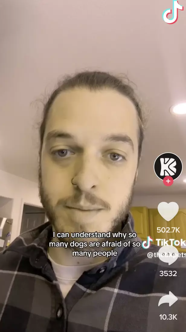 Dog Vision Filter goes viral on TikTok, How to Use